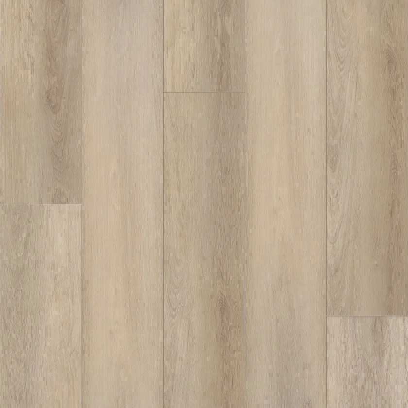 Aurora oak.jpg