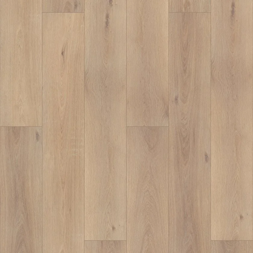 Ravenswood oak.jpg