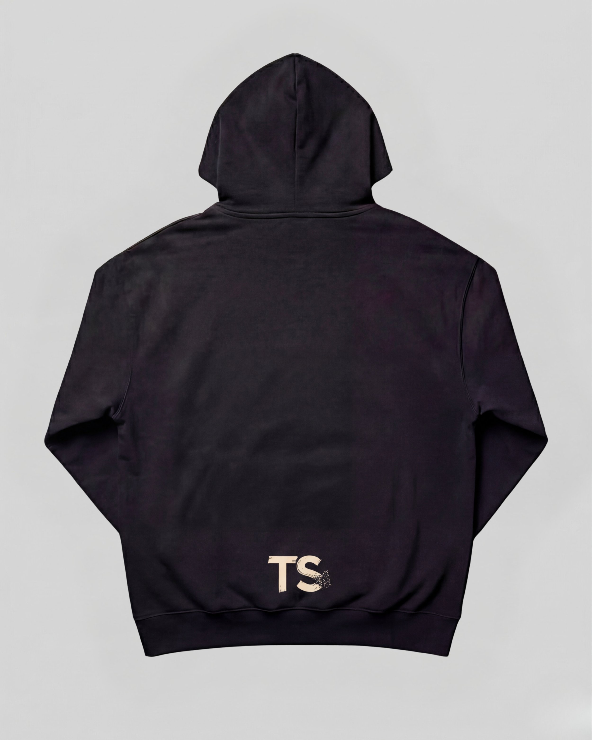 TS HOODIE BACK BEIGE.jpg