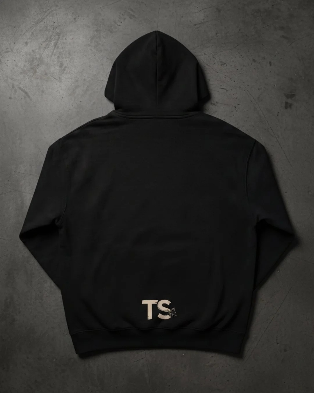 TS HOODIE BACK BEIGE OK.jpg