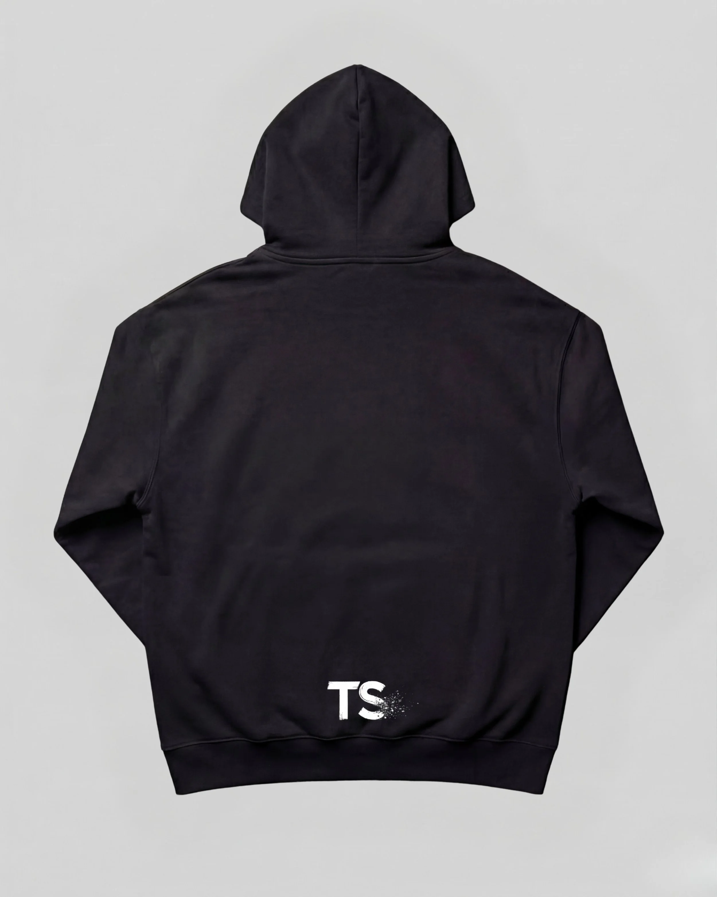 TS HOODIE BACK.jpg