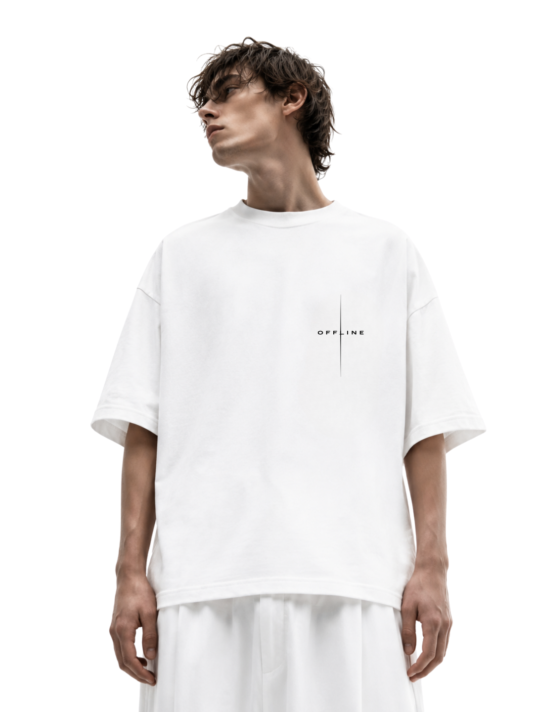 TS OFFLINE MODEL WHITE.png