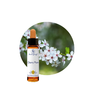 Cherry Plum Bach Flower Essence