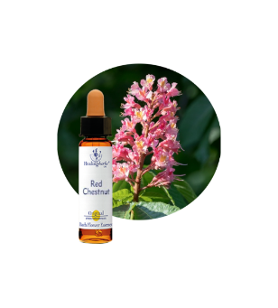Red Chestnut Bach Flower Essence