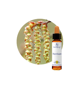 Hornbeam Bach Flower Essence
