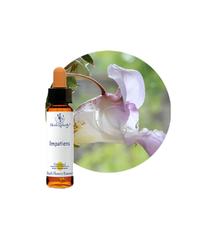 Impatiens Bach Flower Essence