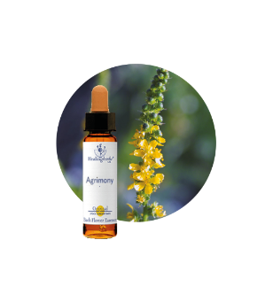 Agrimony Bach Flower Essence