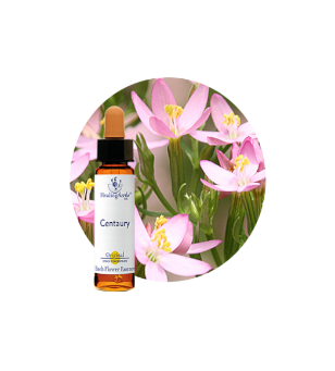 Centaury Bach Flower Essence
