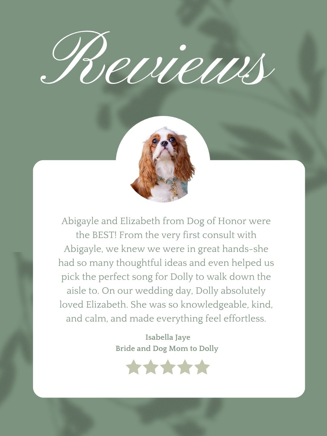 Reviews like this never get old.
Helping Dolly feel confident, loved, and celebrated on her humans&rsquo; wedding day was an absolute joy.
We are so grateful for couples who trust us with moments this meaningful. 🤍

Napa Valley weddings | Tre Posti 