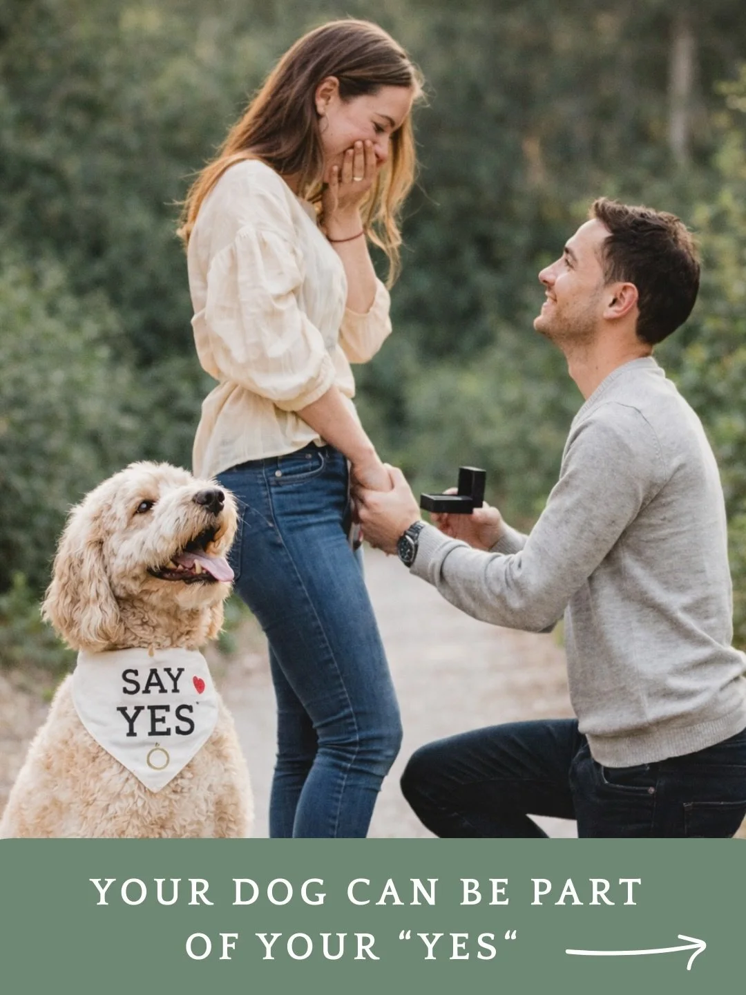 The best proposals don&rsquo;t feel produced, they feel like you.
And for a lot of couples, &ldquo;you&rdquo; includes a dog who has been there for every chapter.

We help proposers stay present while we handle the leash, the timing, the photographer