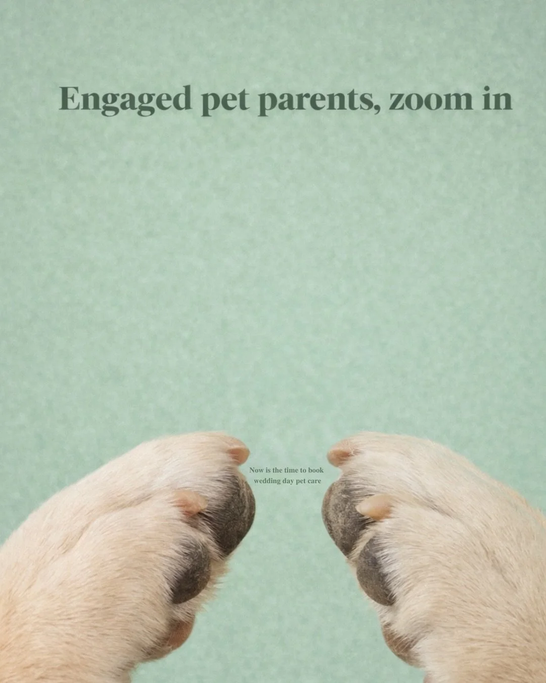 If your dog will be part of your wedding day&hellip; this is your sign.

The difference between including your dog and actually creating a seamless experience for them?
Planning.

The best timelines make space for:
&ndash; photos without overwhelm
&n