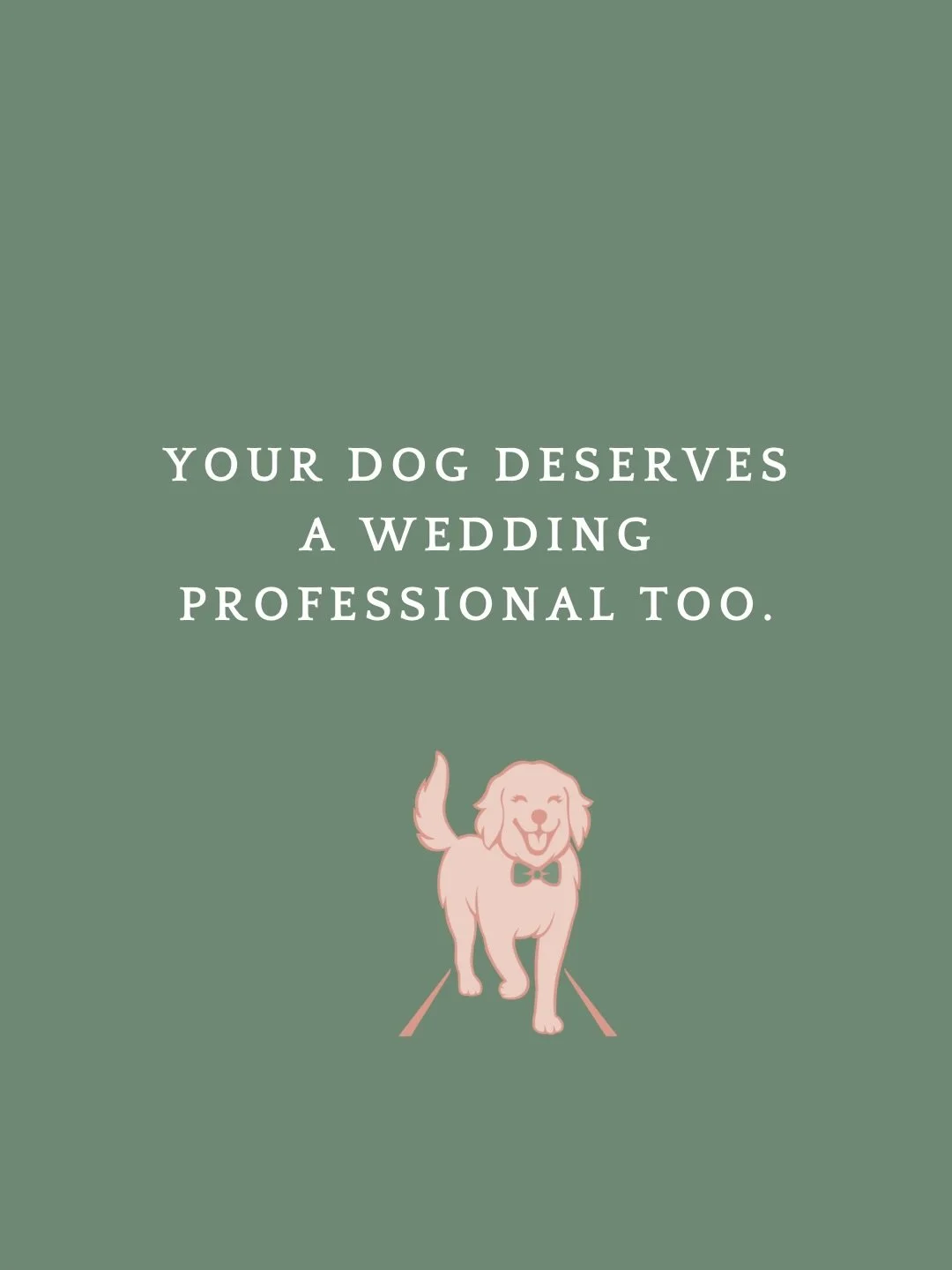 You carefully choose every professional involved in your wedding day.

Your planner specializes in weddings.Your photographer specializes in weddings.Your florist specializes in weddings.

So why should your dog&rsquo;s experience be treated any diff