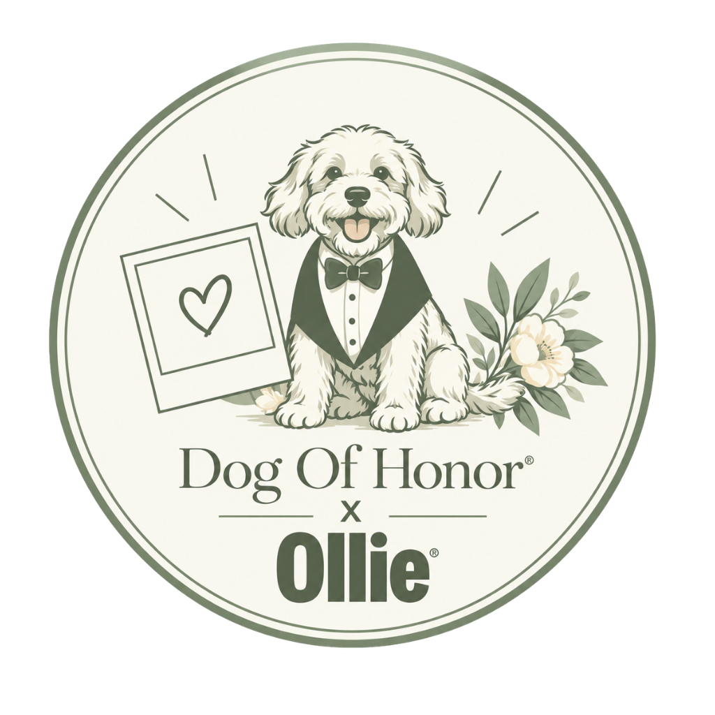 Dog Of Honor® x Ollie: A Picture-Perfect Wedding Collaboration