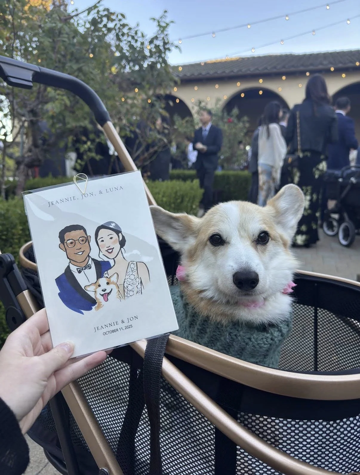 Luna the Corgi Dog of Honor,riding comfortably in a pet stroller at The Ranch at Silver Creek in San Jose