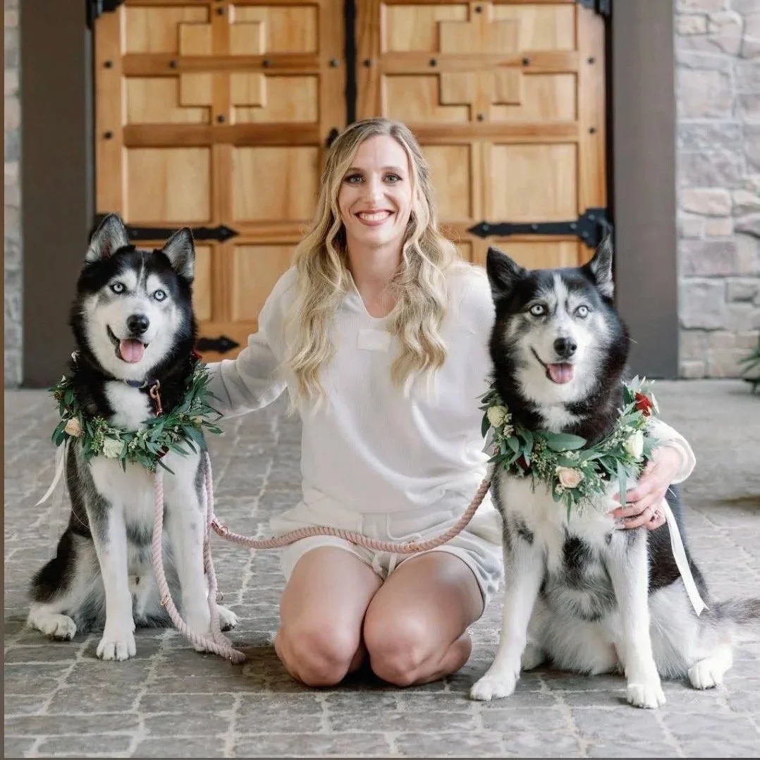 A bride and two Huskies