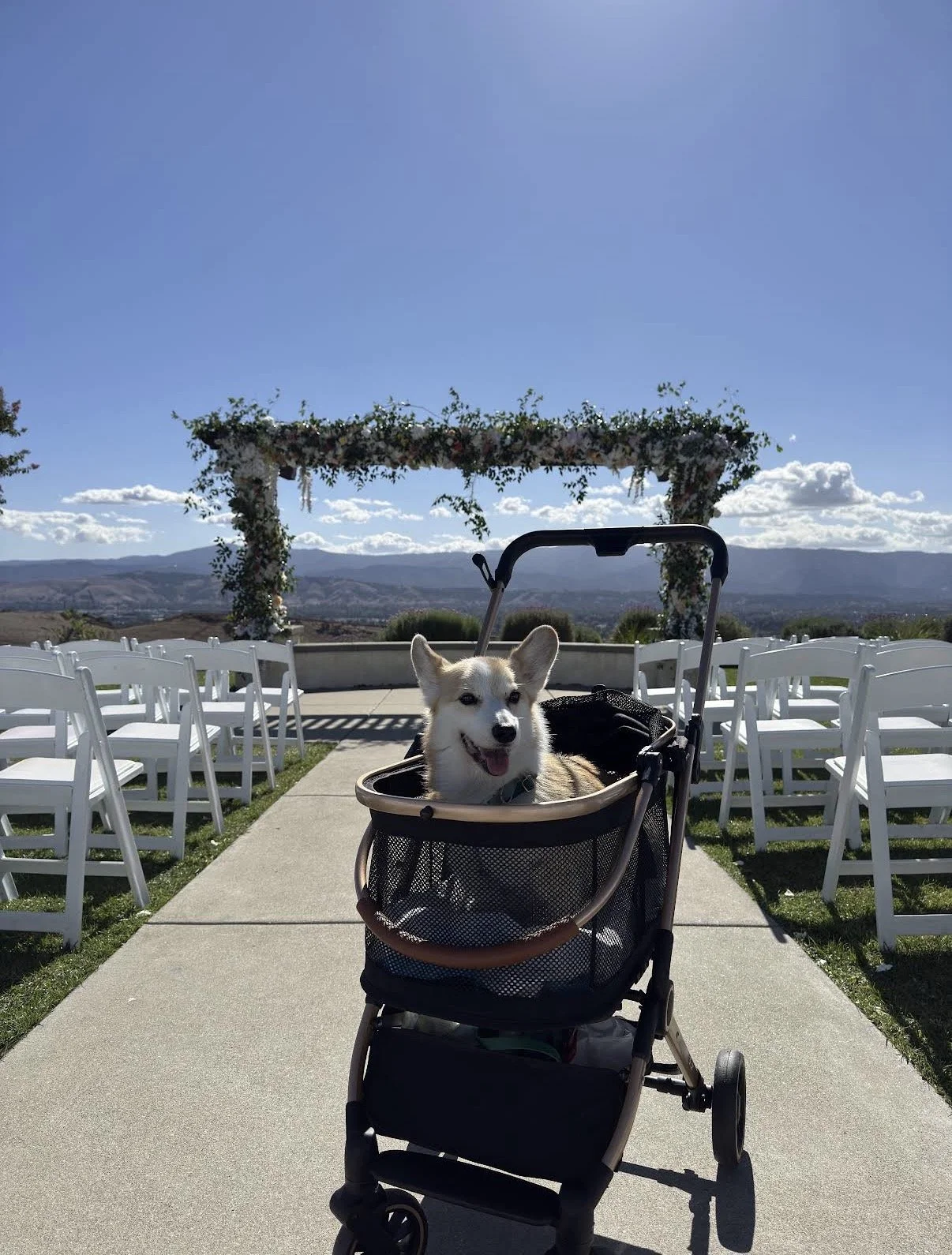 Corgi in a pet stroller at The Ranch at Silver Creek