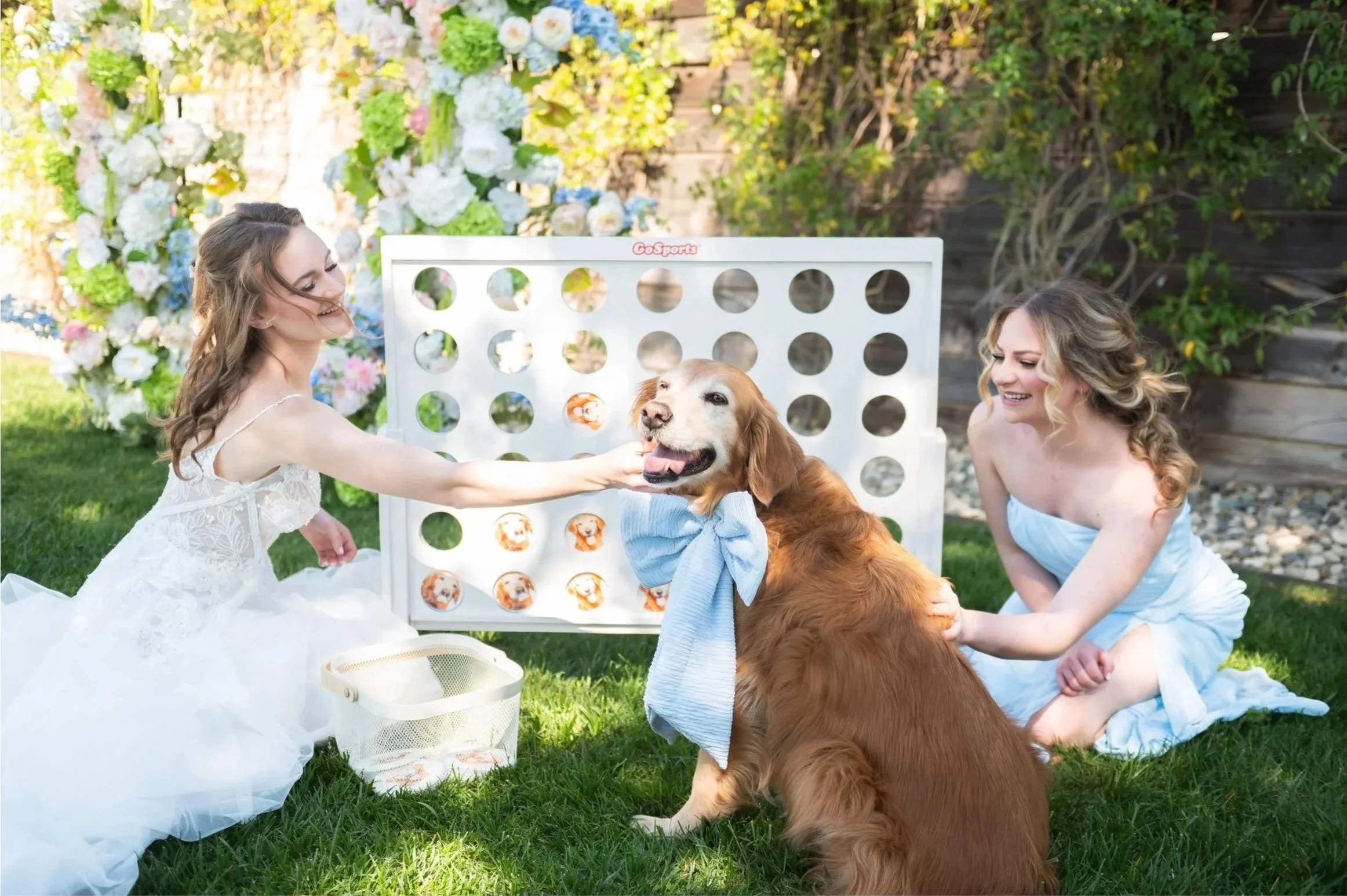 Wedding lawn came featuring the Dog of Honor