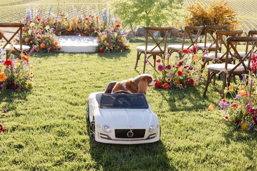 Bloom-Photography-Rainbow-Weddings-Events-Strelitzia-Zamora-Hills-Ranch-Real-Weddings-SF26-Details_0180.jpg