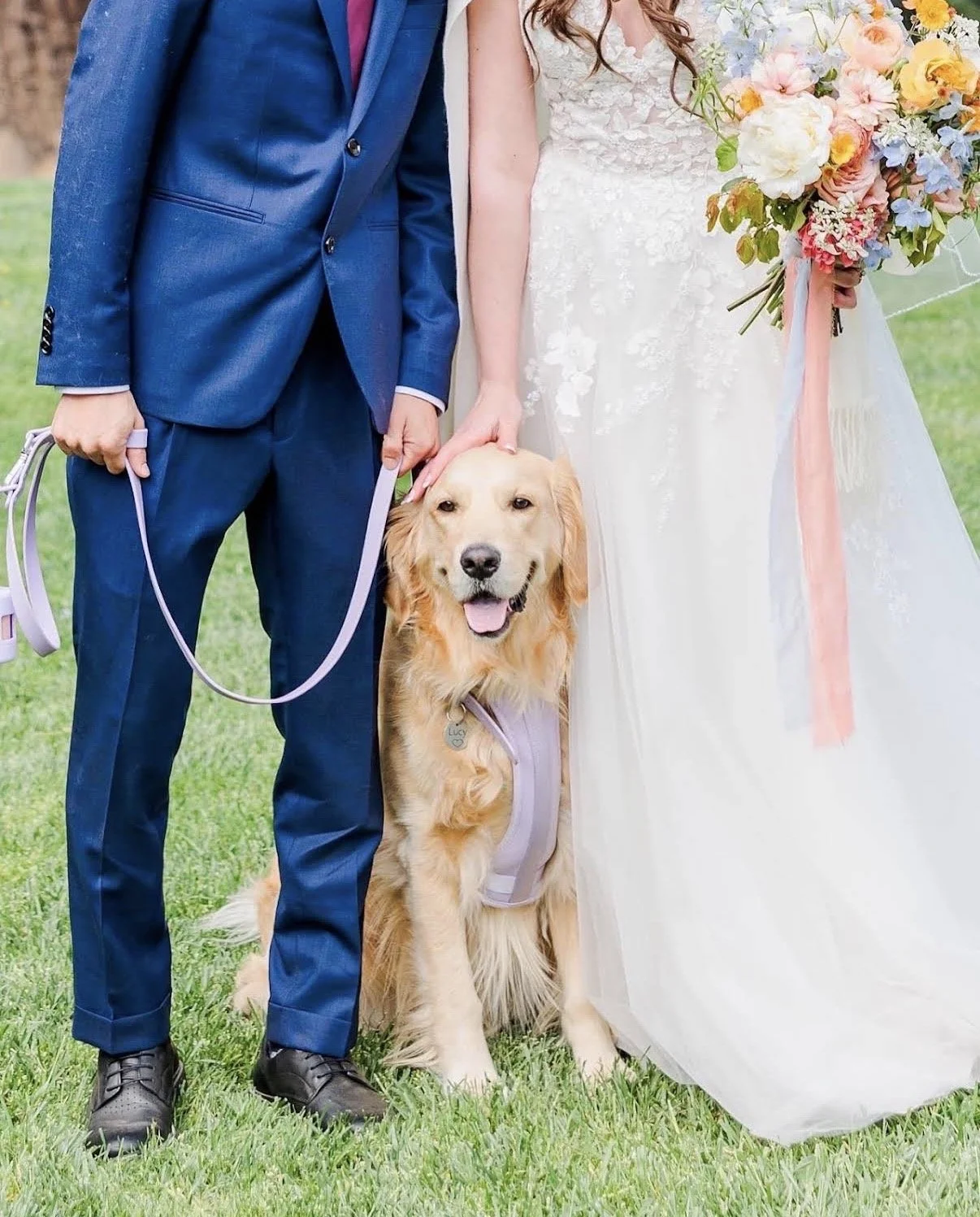 Golden Retriever posing with her two parents, a bride and groom, at Mountain Terrace in Woodside