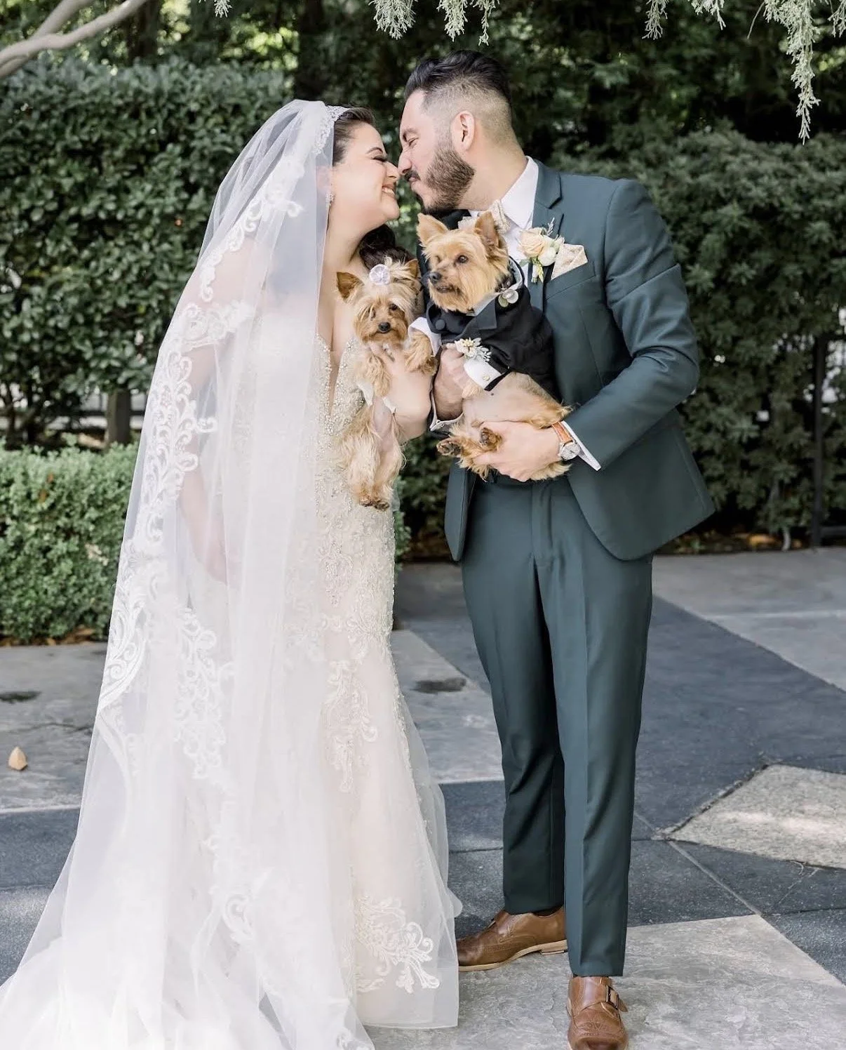 Two Yorkies being held by a bride and groom in Sacramento