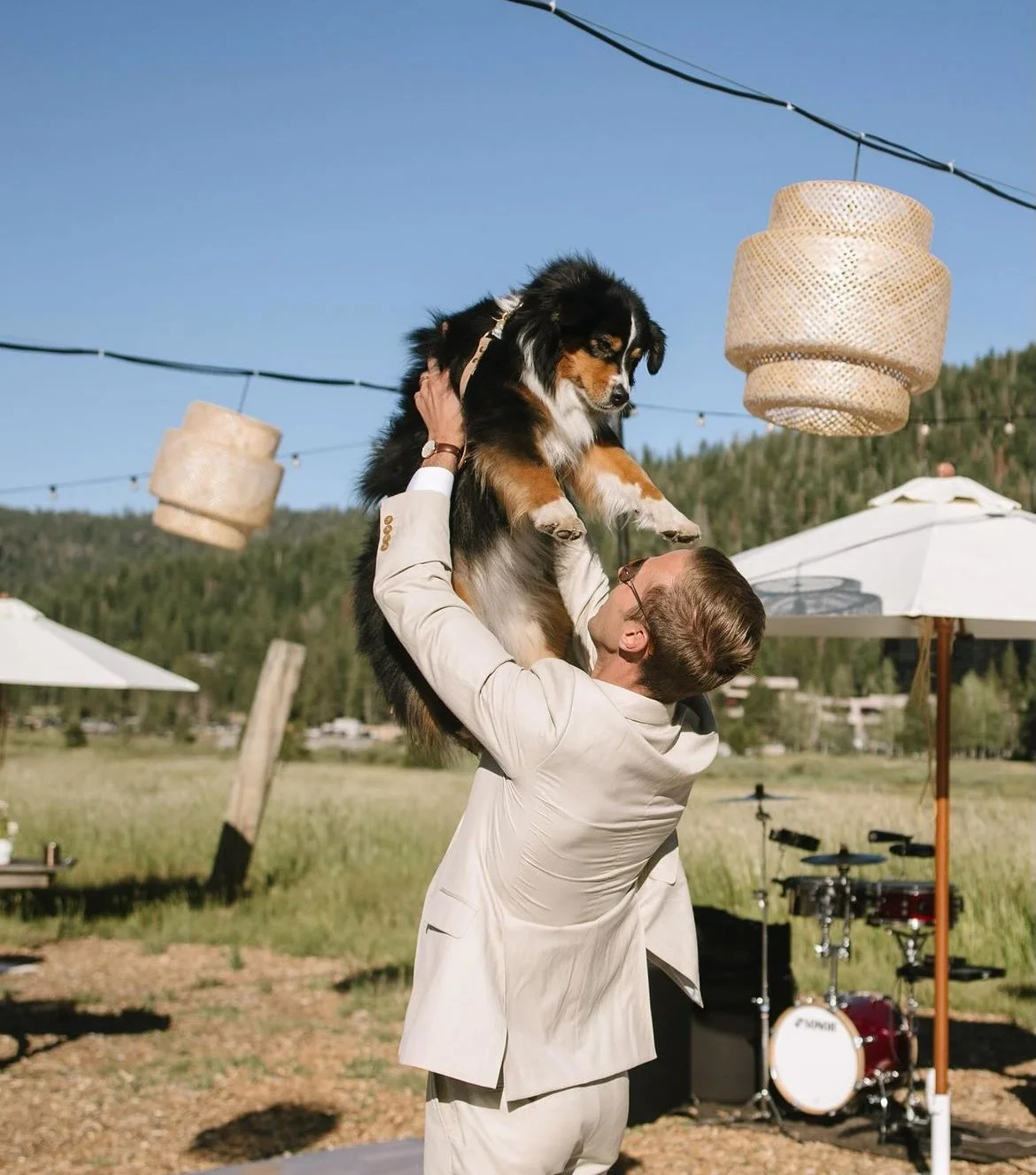 Groom lifts Australian Shepherd in air during first dance