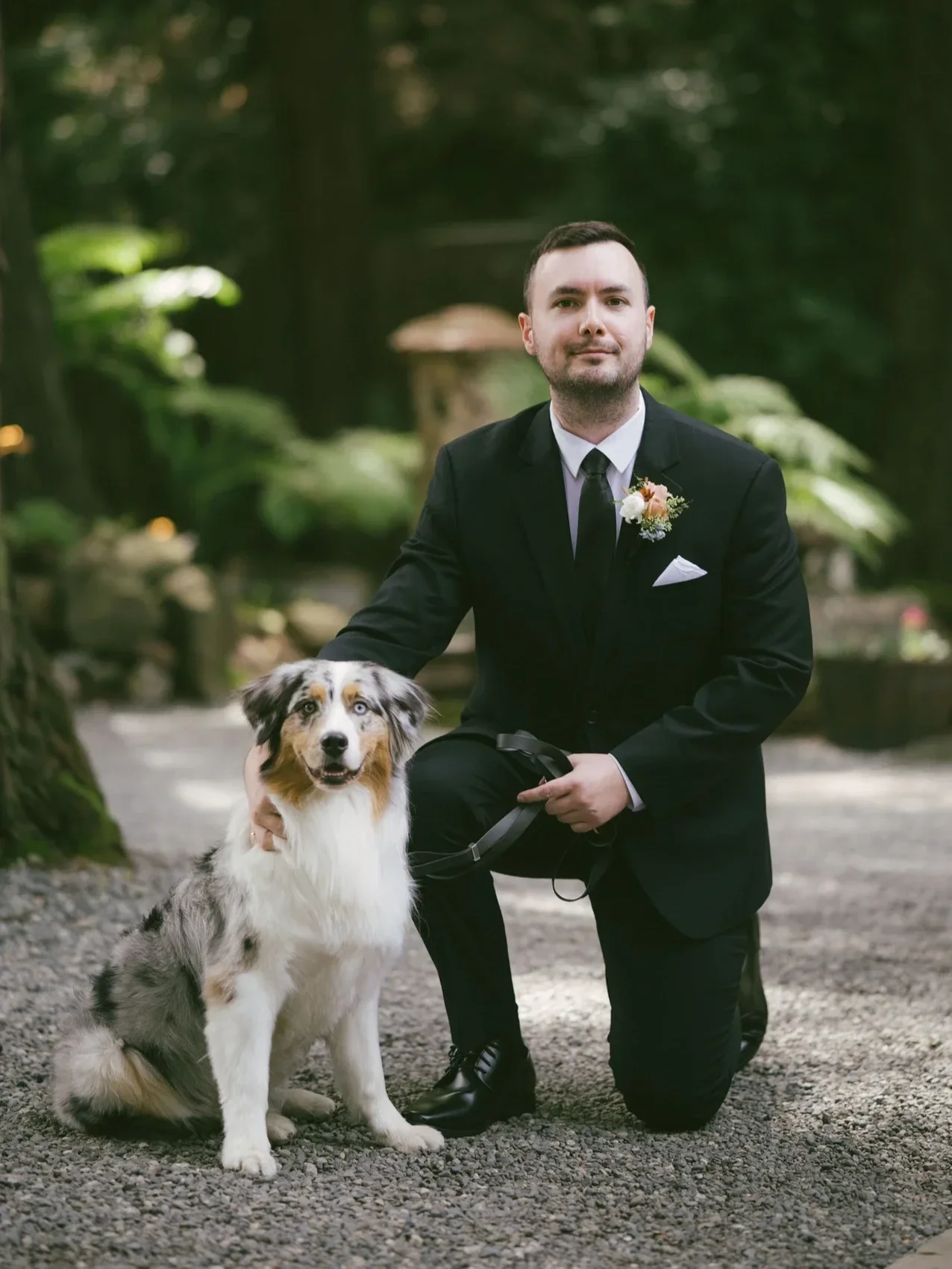 An Australian Shepherd at Deer Park Villa