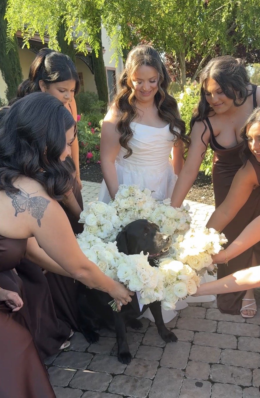 Black labrador surrounded by the bride and bridesmaids and their bouquets