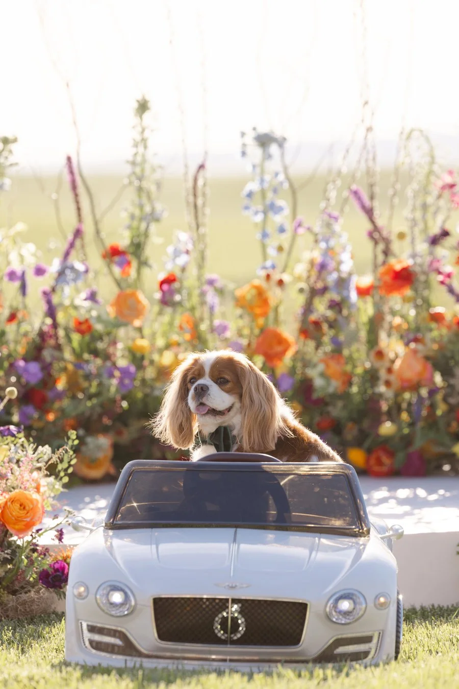 Bloom-Photography-Rainbow-Weddings-Events-Strelitzia-Zamora-Hills-Ranch-Real-Weddings-SF26-Details_0495.jpg