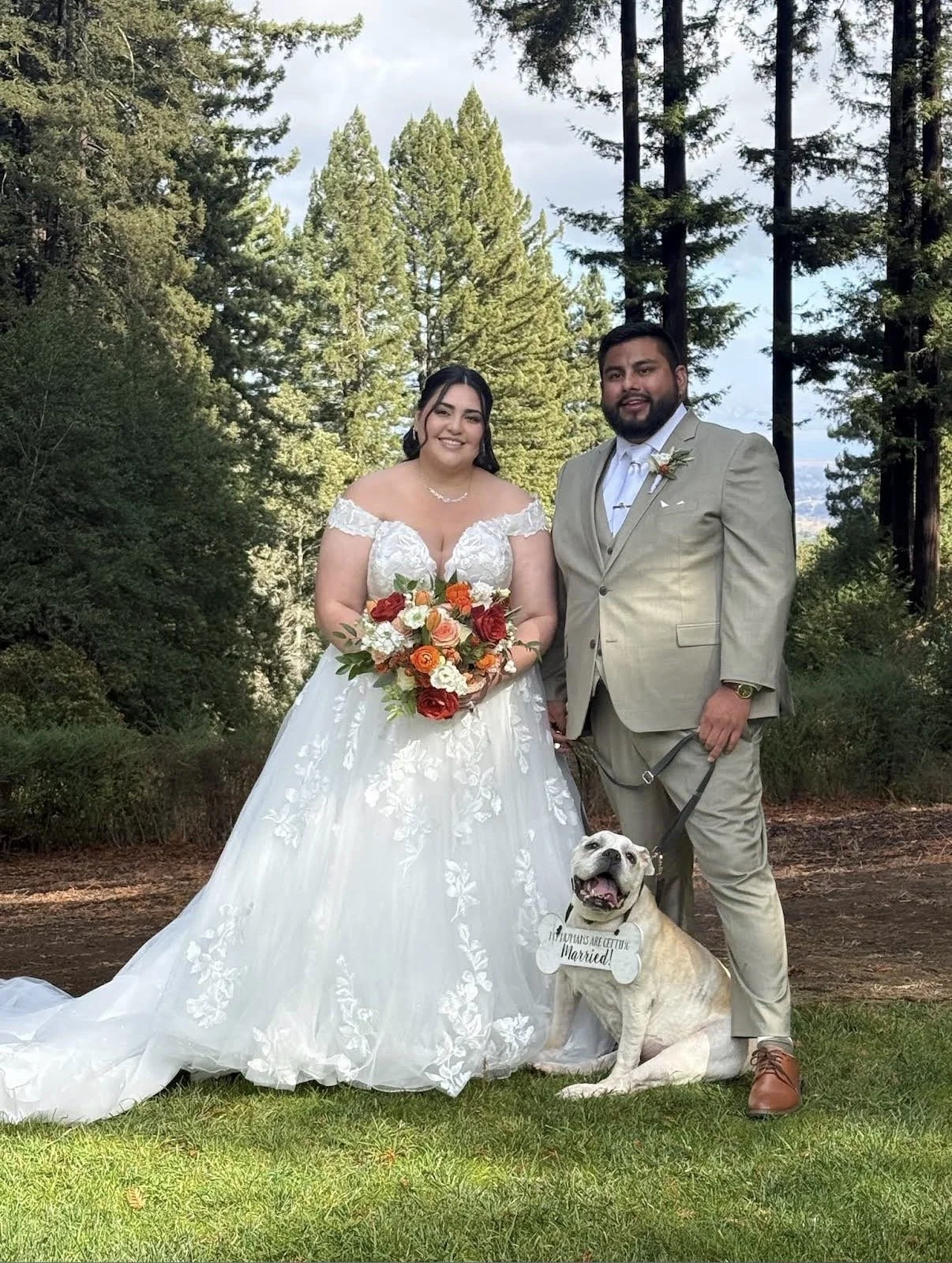 Bulldog Dog of Honor with his parents as bride and groom at Mountain Terrace in Woodside, CA