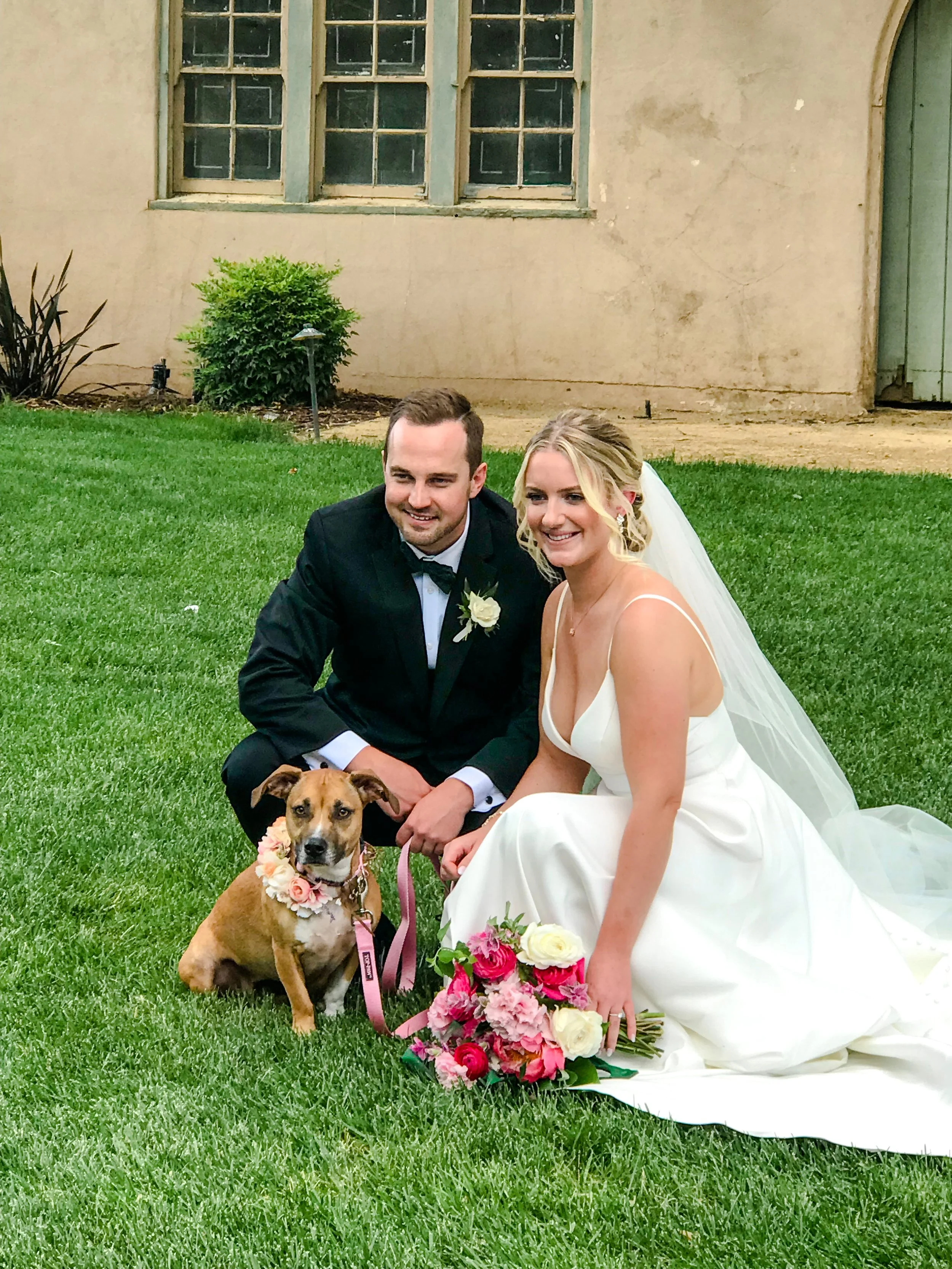 Dog of Honor wearing a floral collar at The Maples in Woodland, CA