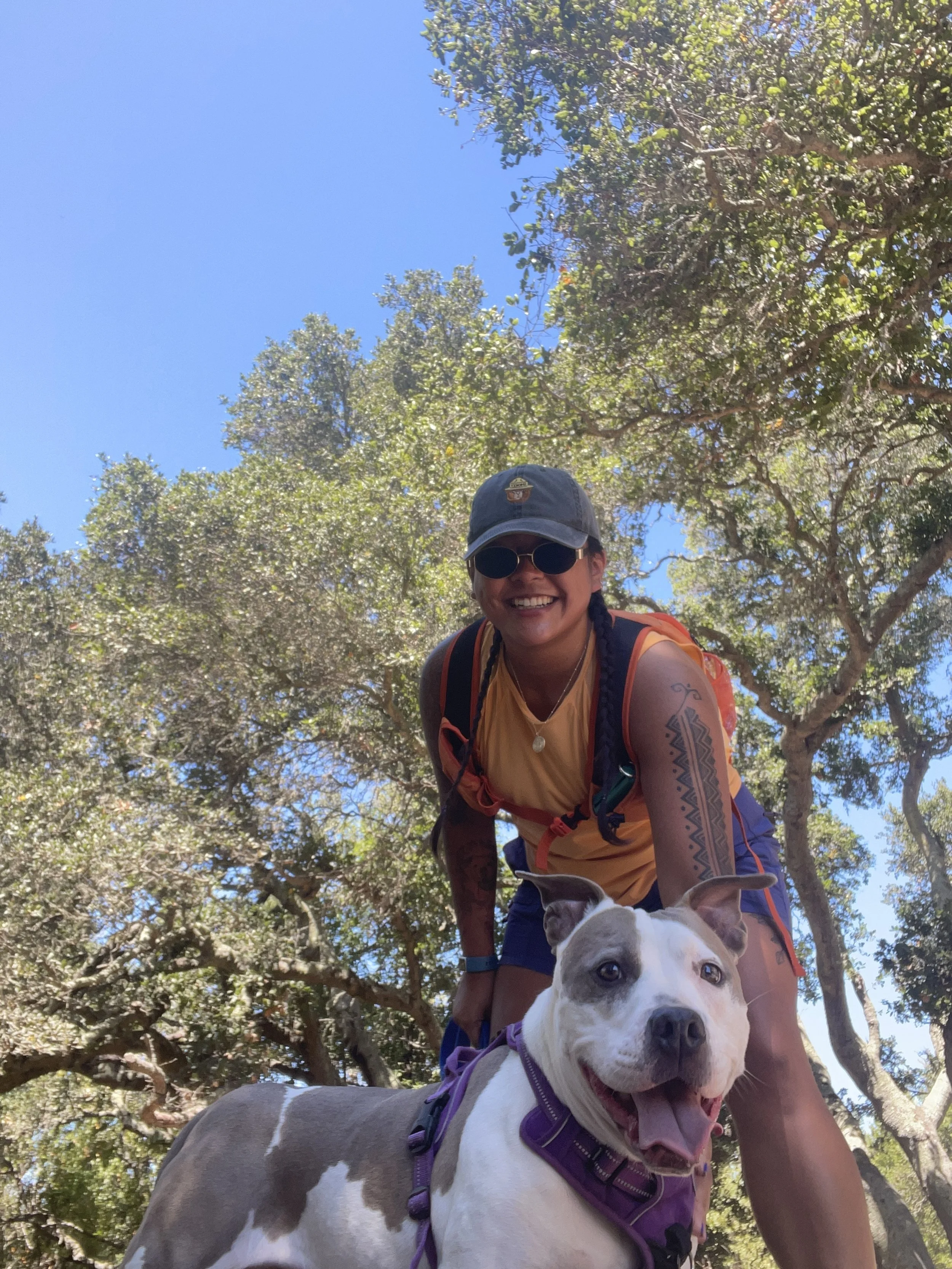A woman smiling with sunglasses, wearing a cap, yellow shirt, and backpack, standing outdoors with a happy dog wearing a purple harness, under a tree with green leaves and a bright blue sky.