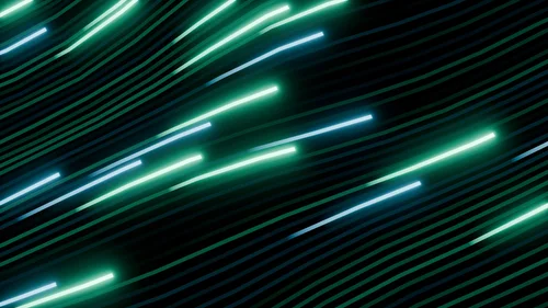 Fast Neutron Imaging Sensor