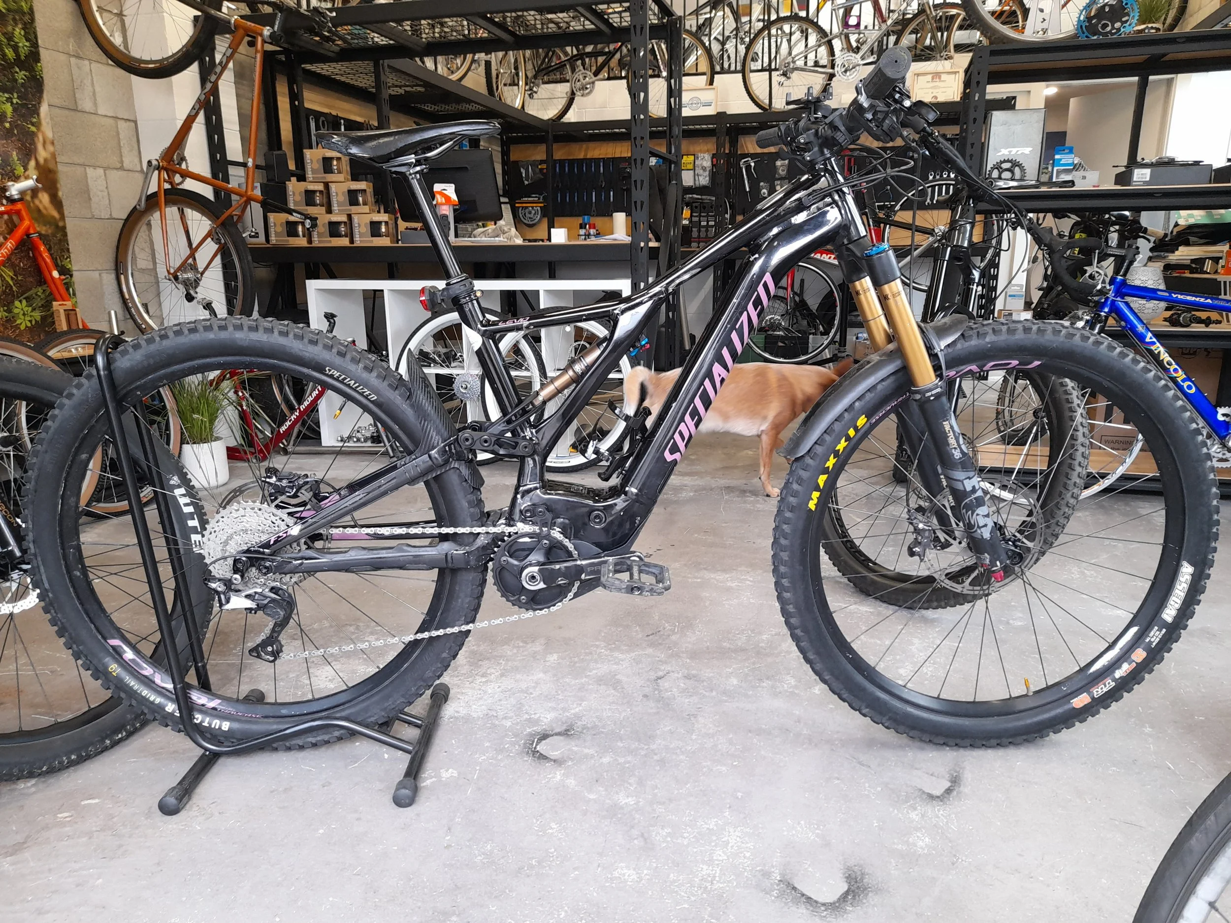 Specialized Levo in for our top tier service which is a full deep dive everything service including suspension fork service, rear shock service, tubeless sealant change and brake bleeds!