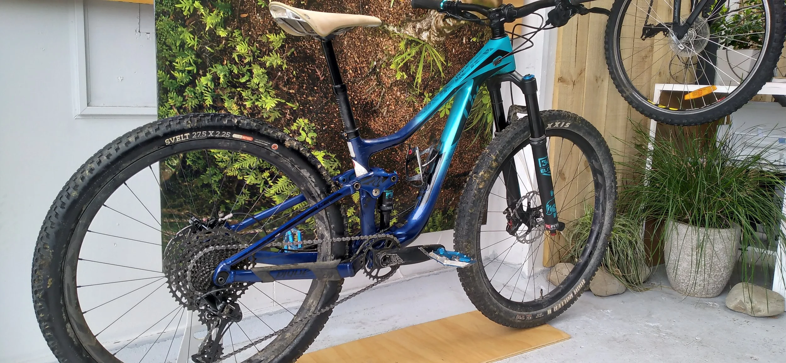 The Trail Bike Service - Full Sus