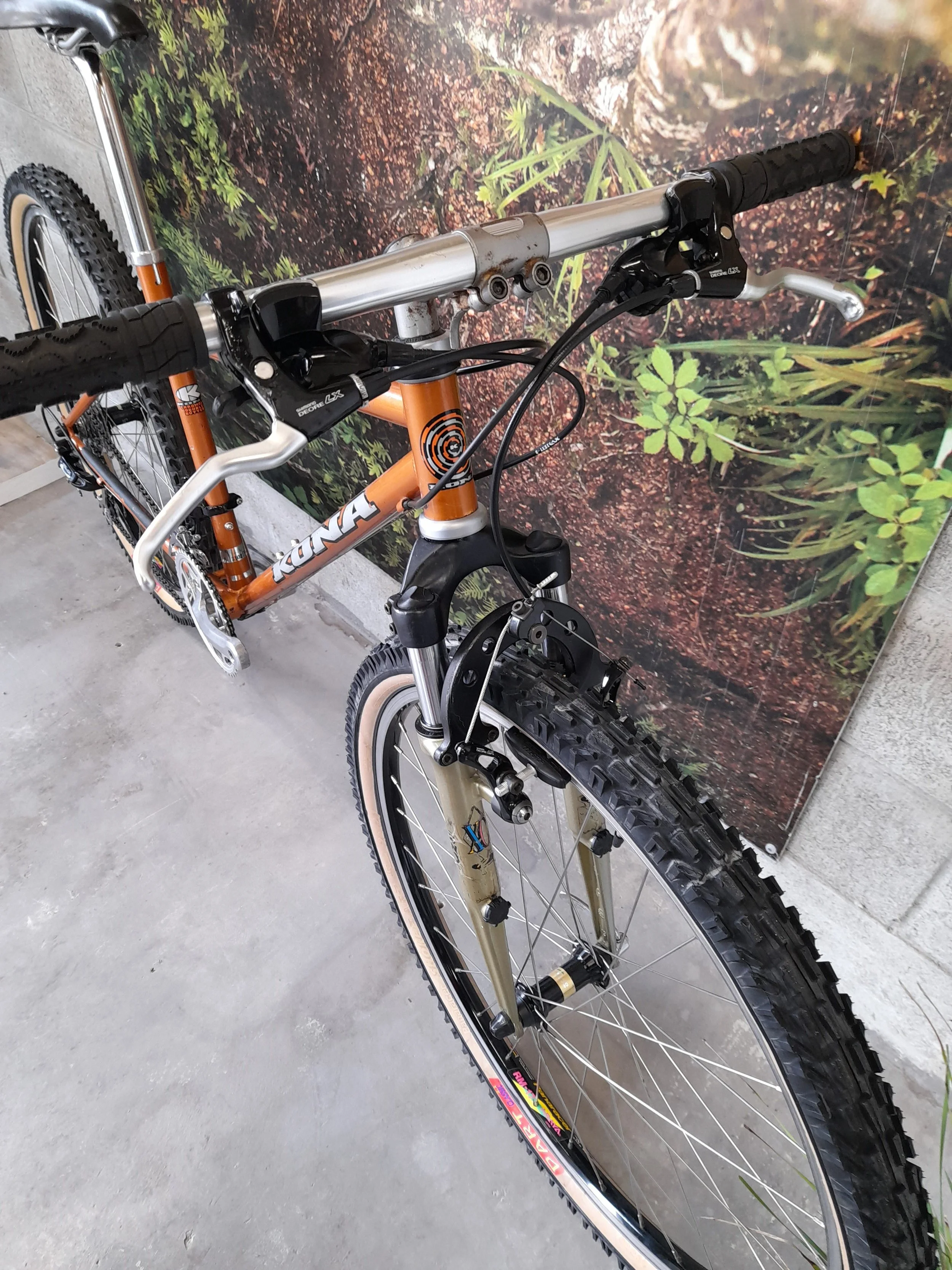 Panaracer Re Run Dart Tyres