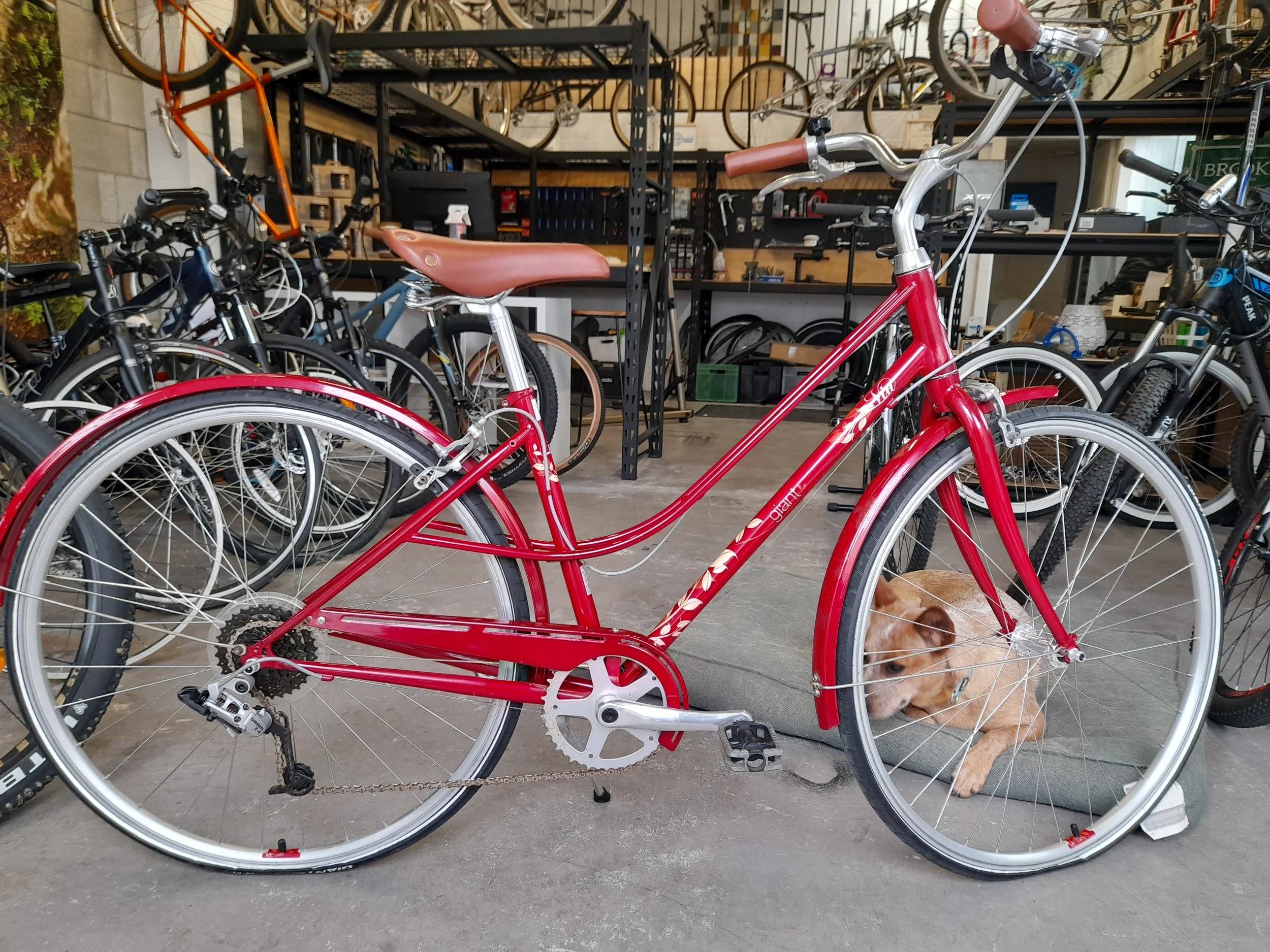 Giant LIV Cruiser Step Through Recreational Urban Bike