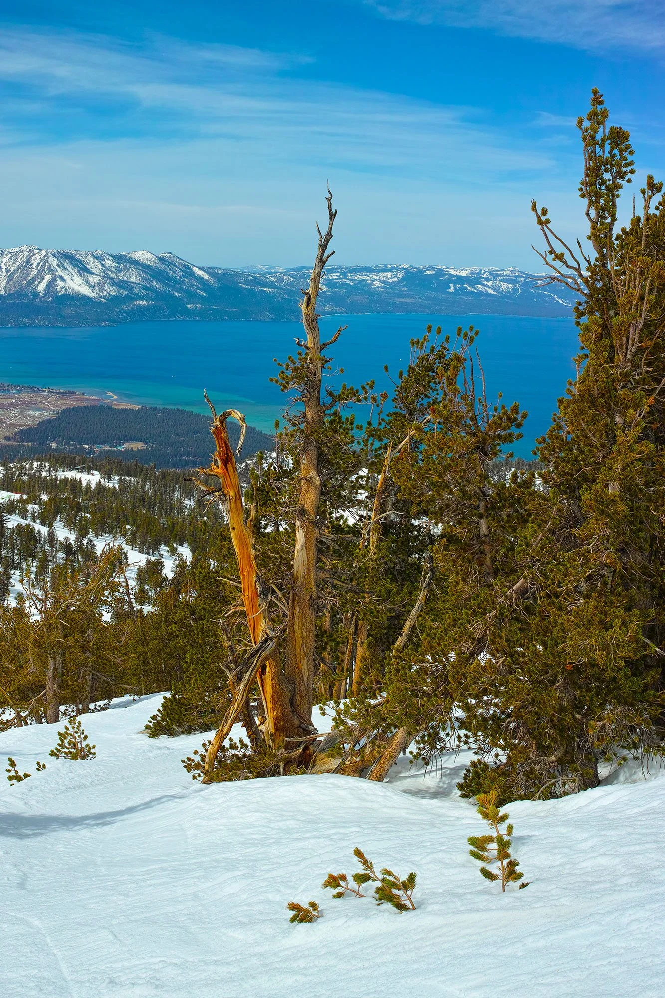 Heavenly_Tahoe.jpg