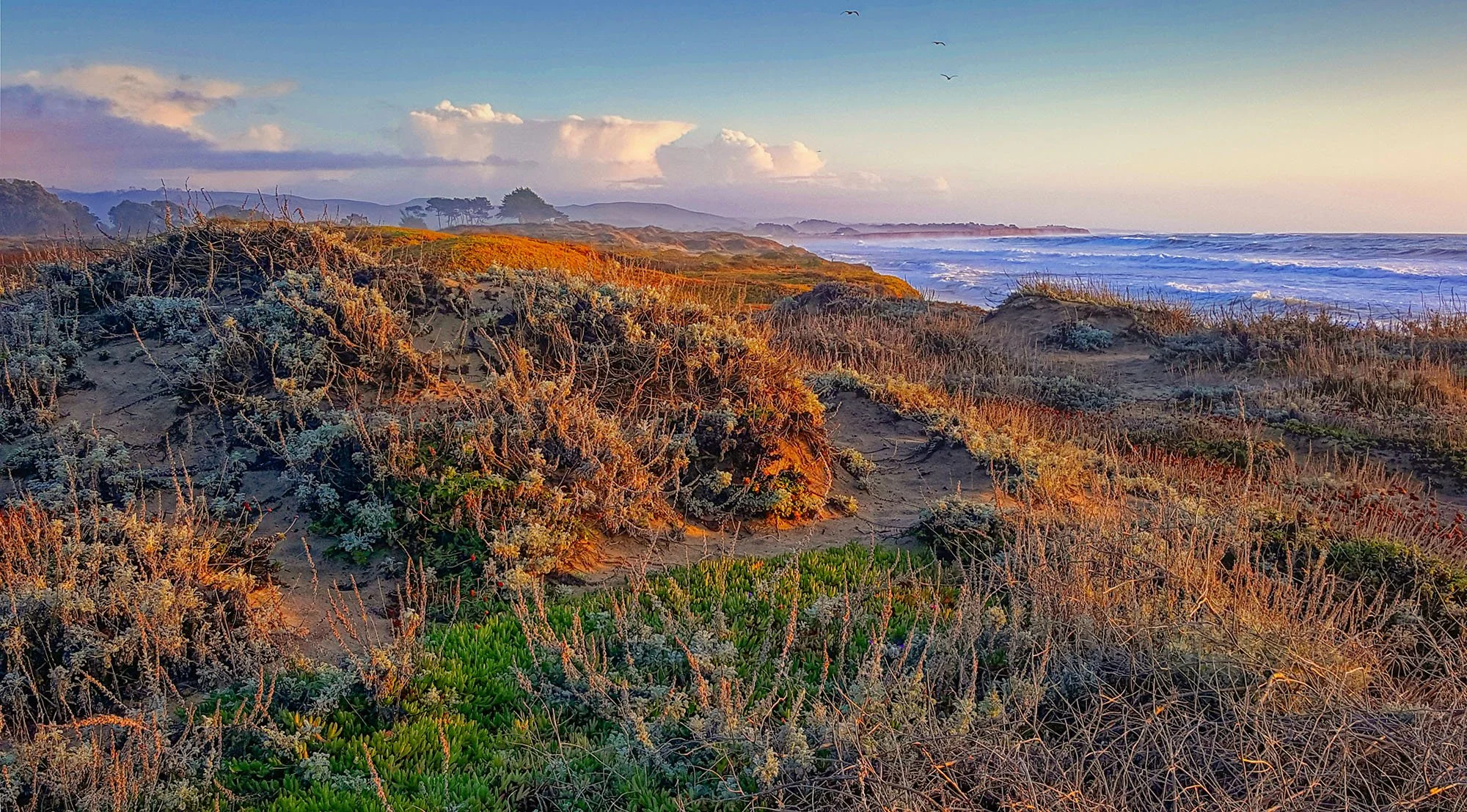 Half Moon Bay 2.jpg