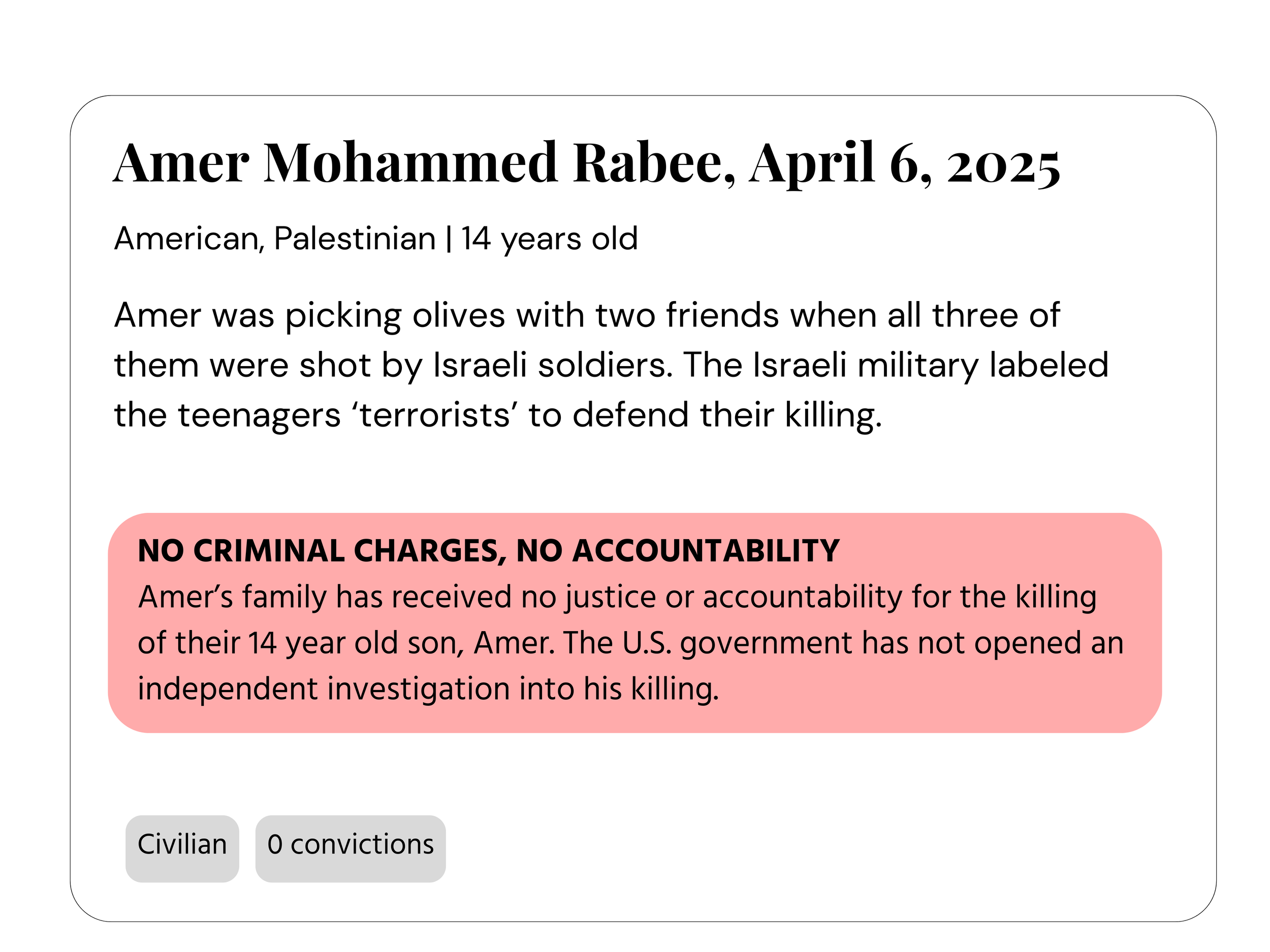 A digital report or profile page of Amer Mohammed Rabee, dated April 6, 2025, providing personal details including nationality, age, and a brief incident description involving Israeli soldiers. The background is white with black and pink text sections, and small gray buttons indicating civil status and convictions.