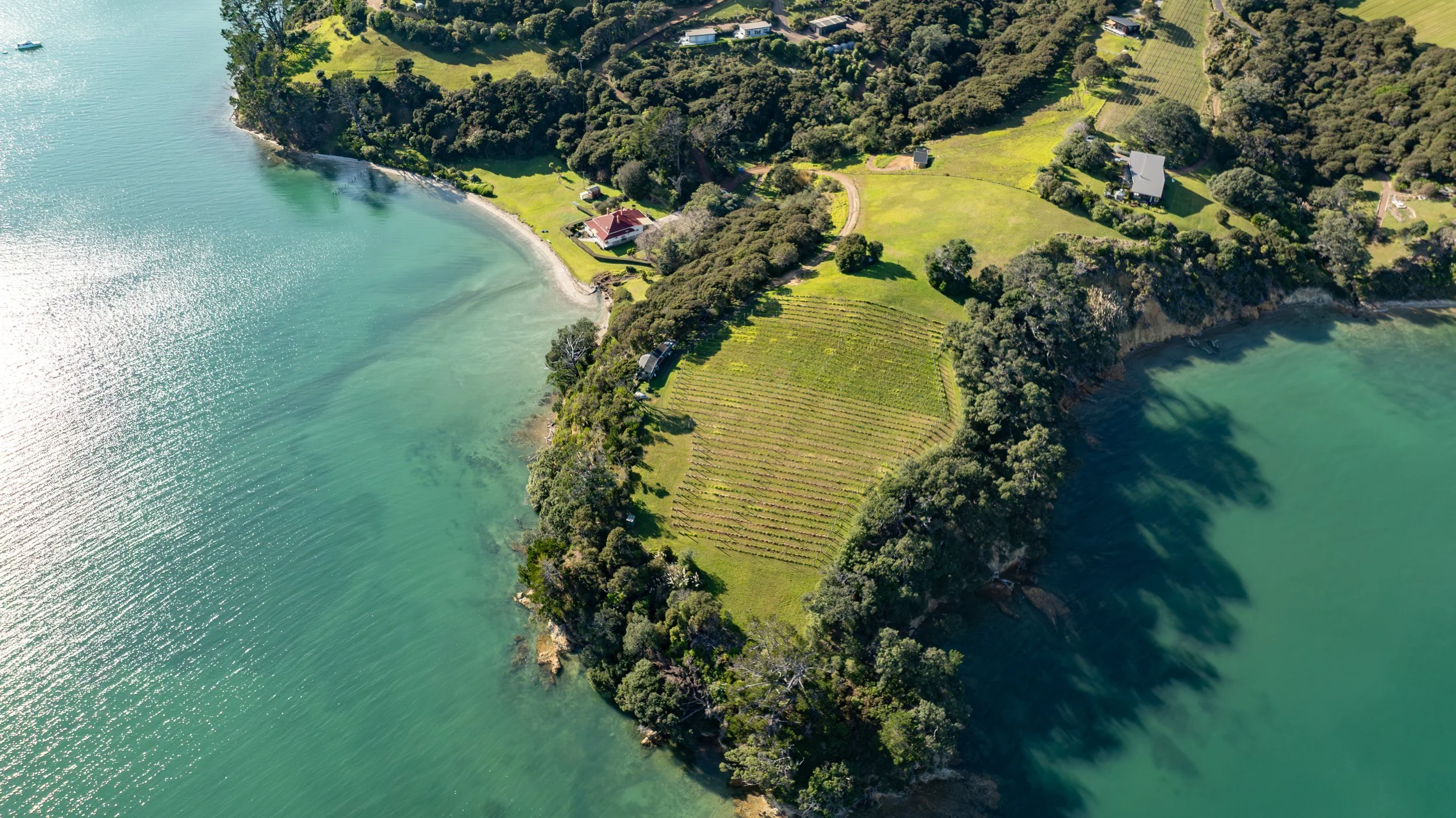 Aerial view of a coastal area with green fields, trees, and several houses along the shoreline. The water is turquoise, with a small beach area visible.