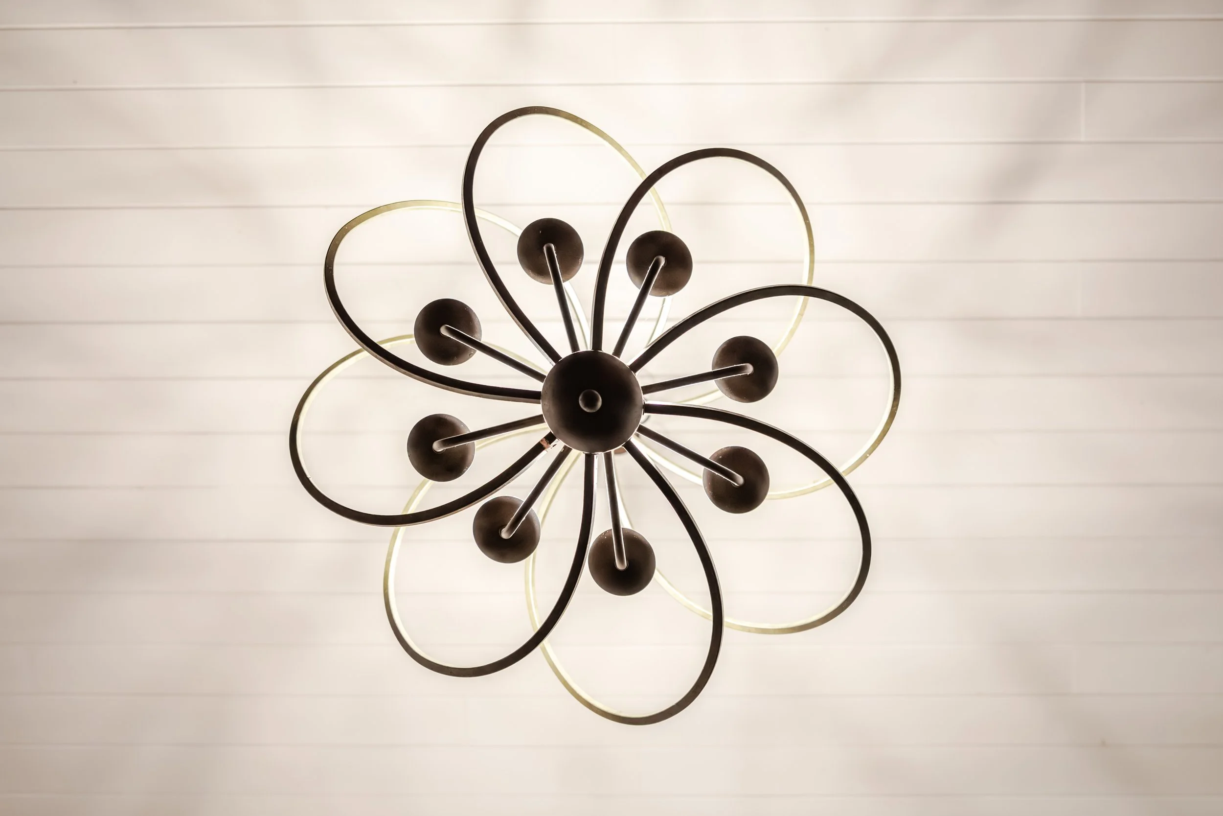 Modern chandelier with a floral-inspired design and black spherical bulbs, hanging from a white ceiling with horizontal paneling.