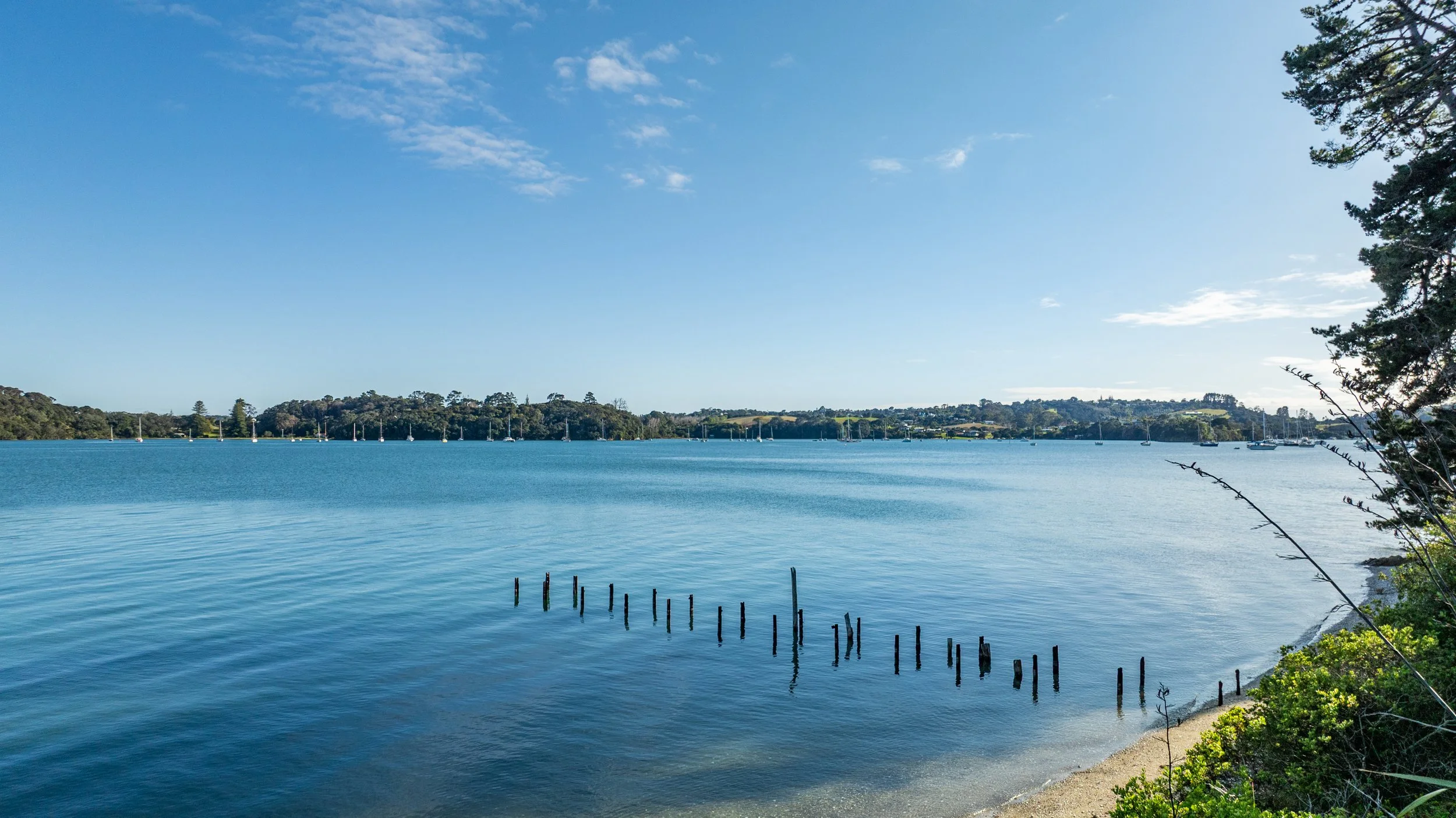 A peaceful view of a large lake with several sailboats anchored in the distance, surrounded by green hills and trees, under a clear blue sky.