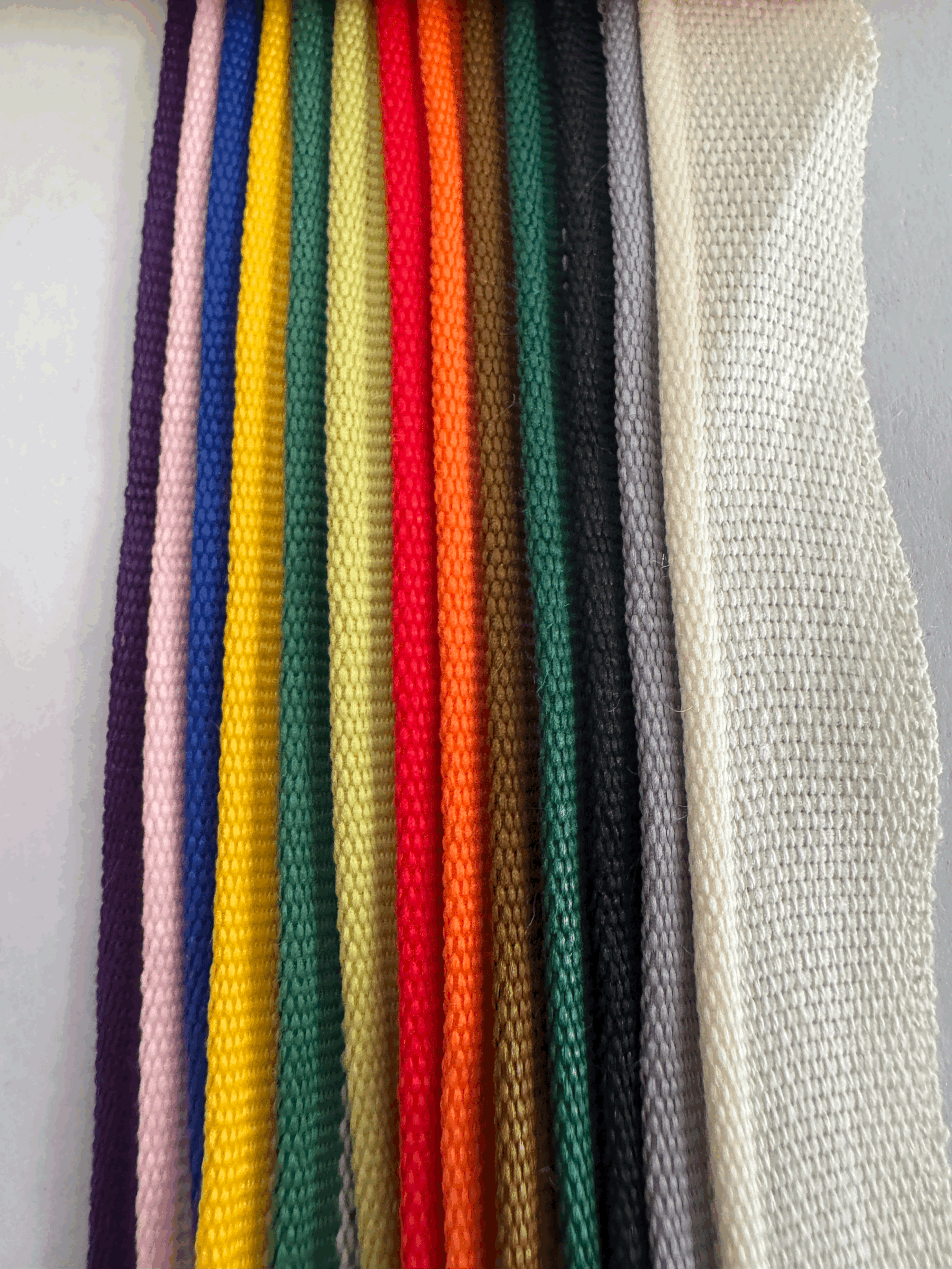 Cabezada surtida 30cm. * 14 colores