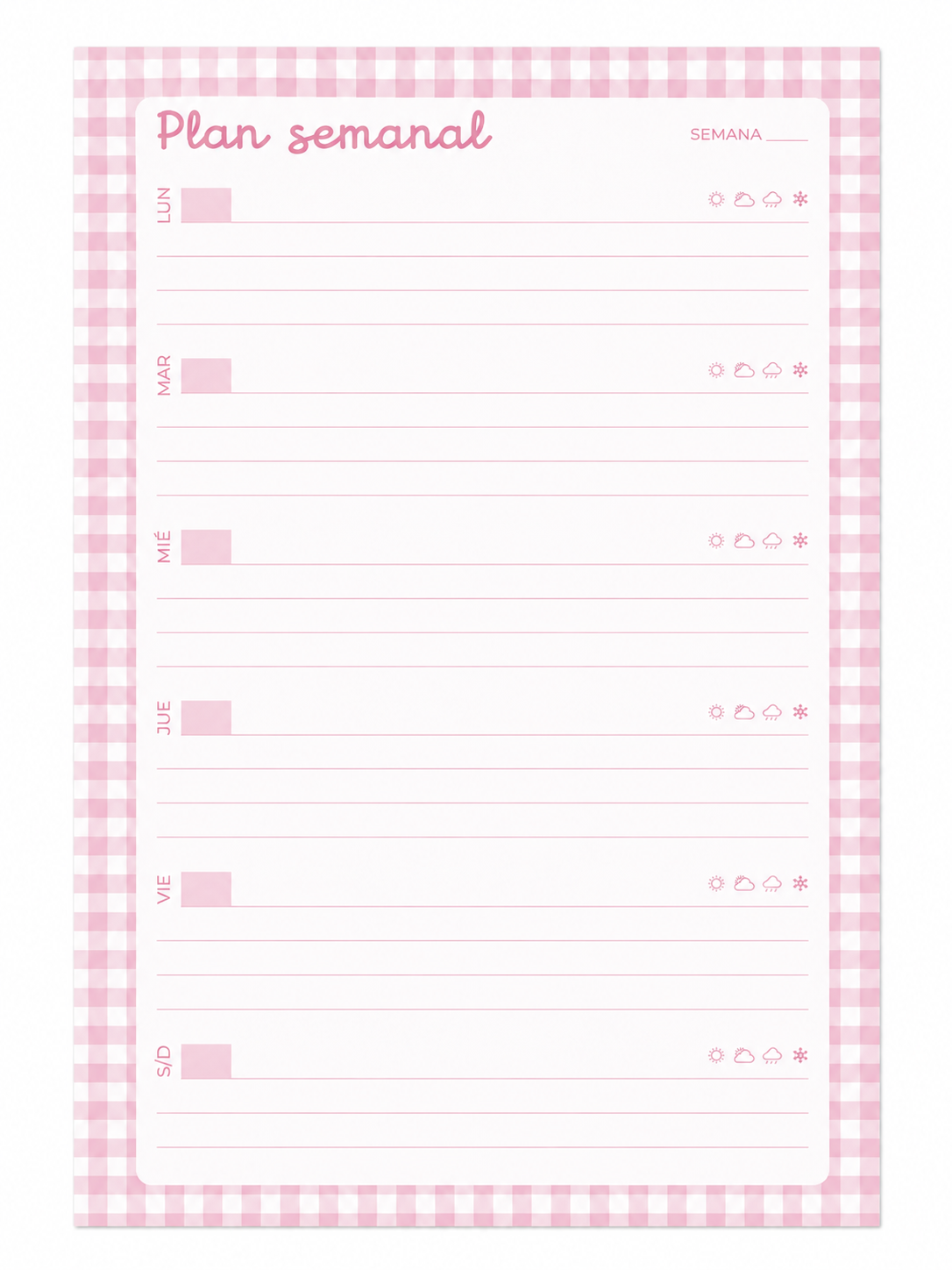 ChatGPT Image 29 ago 2026, 08_24_52.png