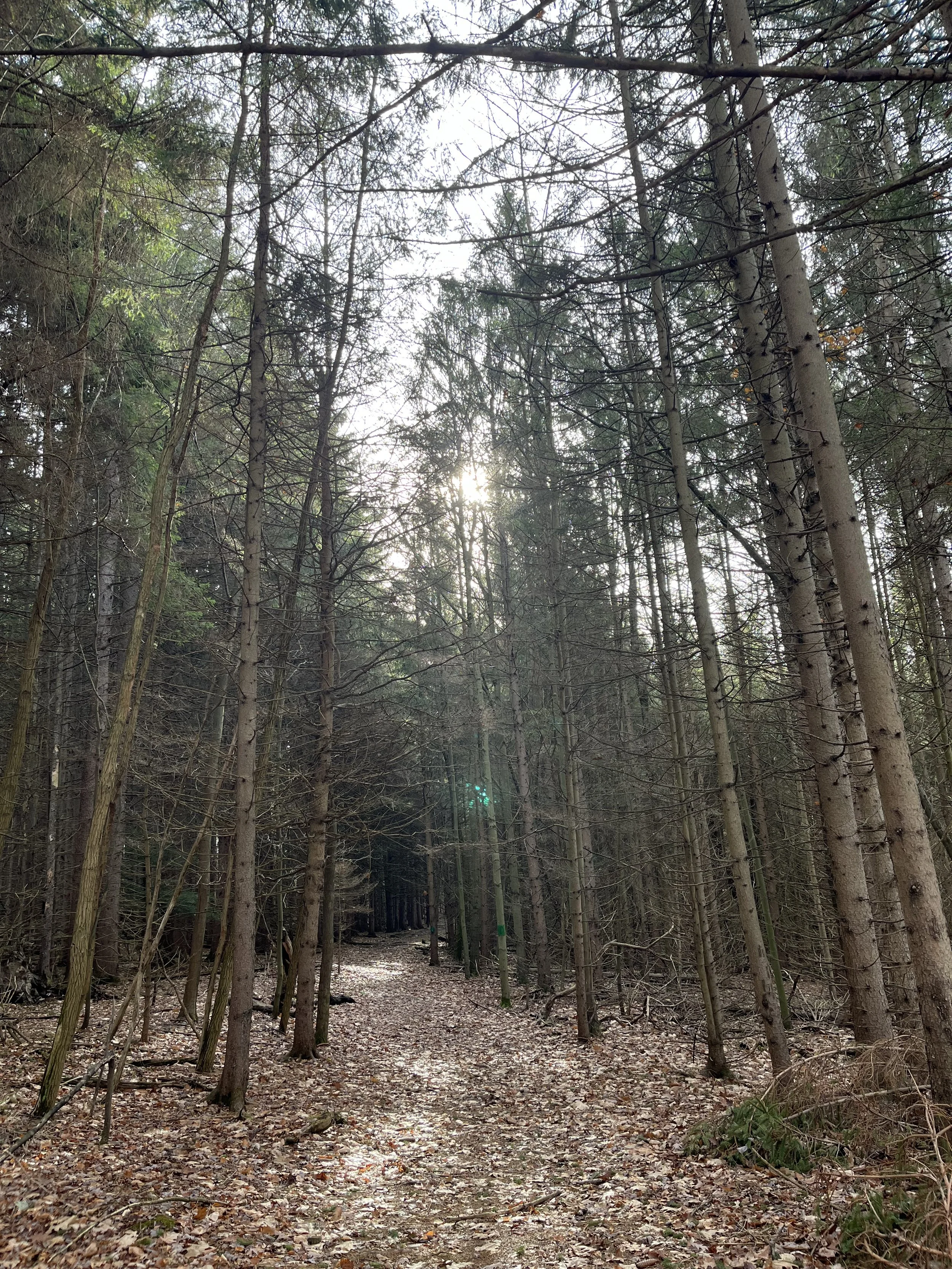 The BC Checklist:  The Board that Serves our Mission