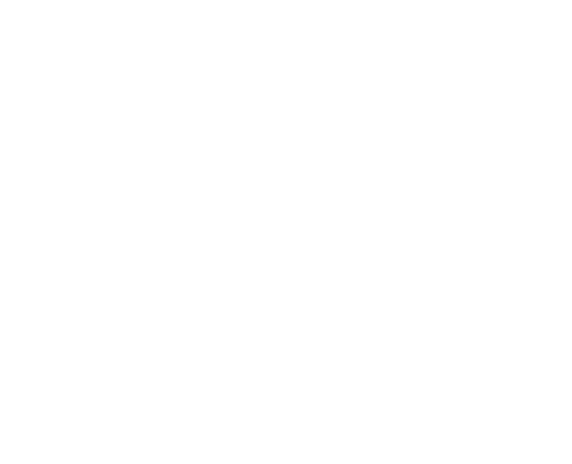 Shaman Dance Academy