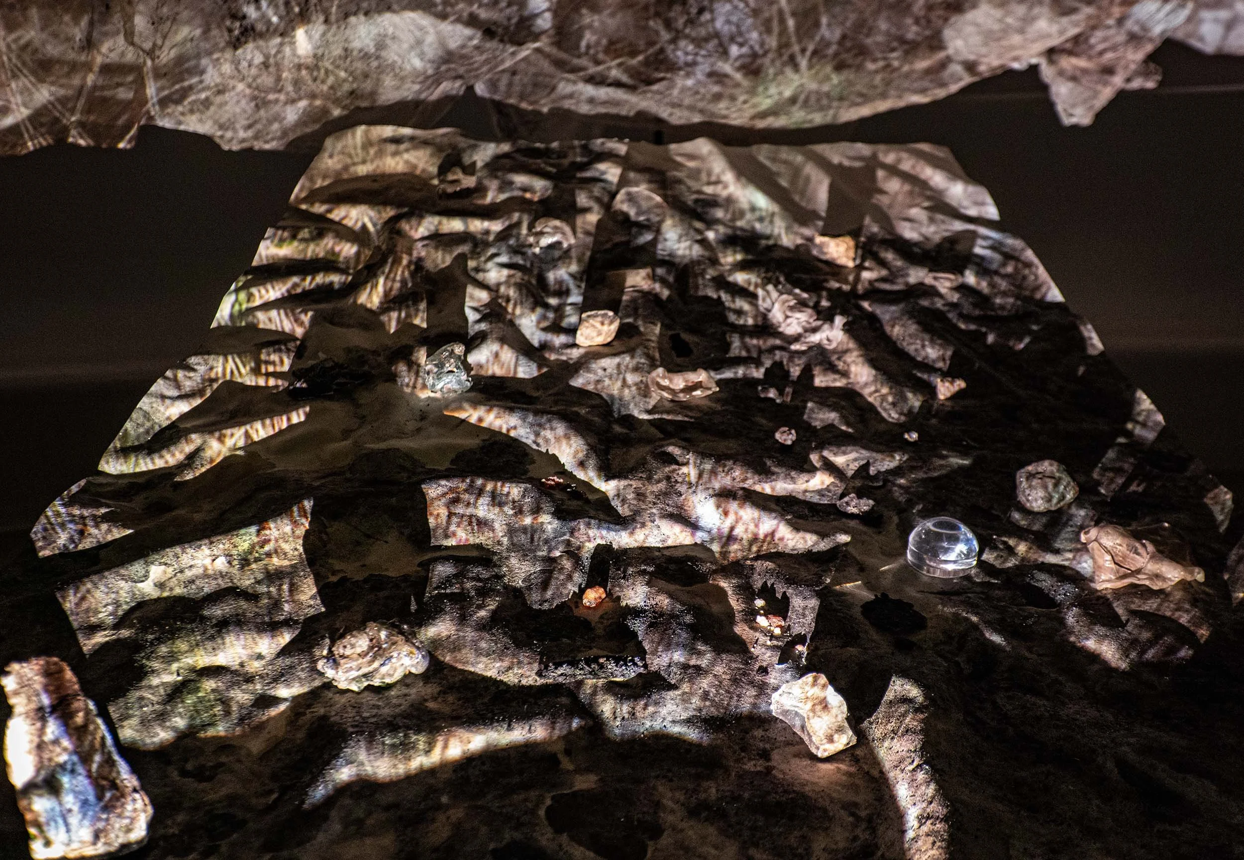 Without telling them what to see