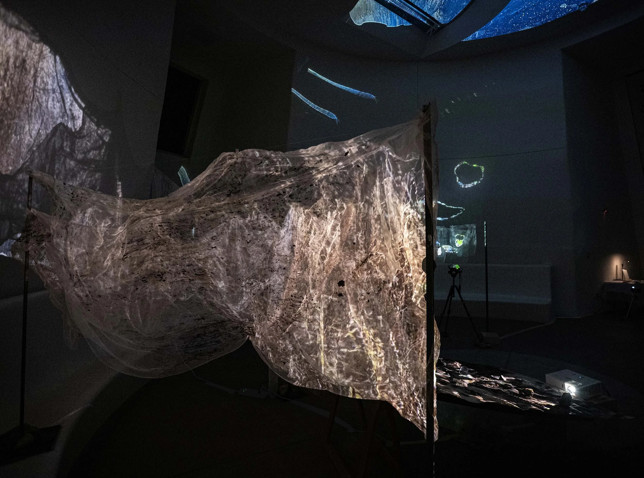 Without telling them what to see