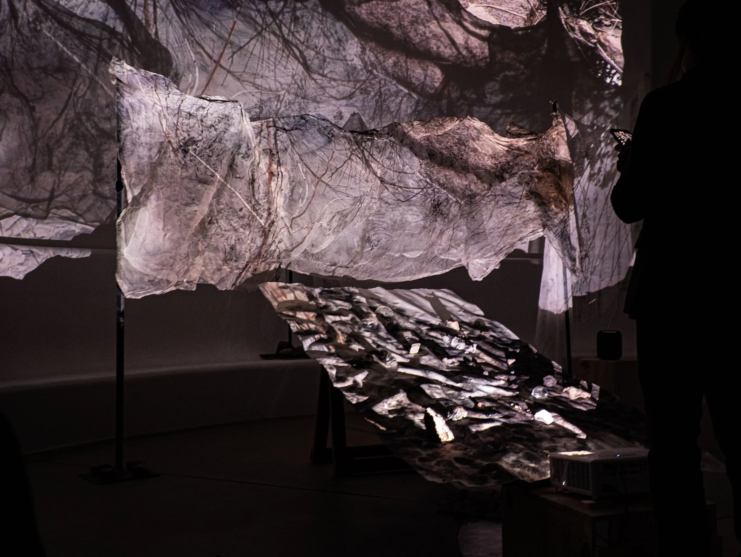 Without telling them what to see