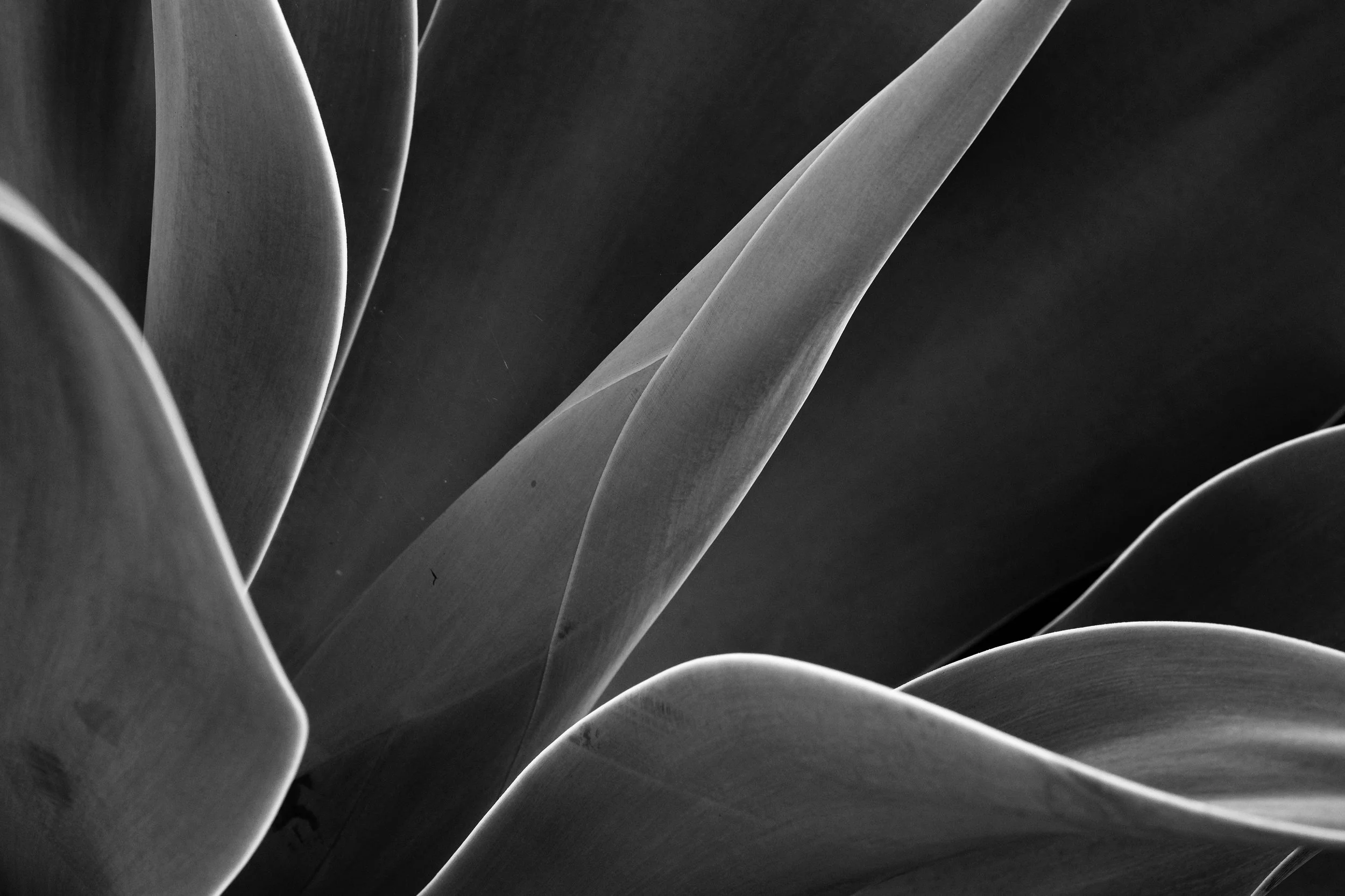 E421734C-6262-4FD6-9D8E-6BE70E15A7F5-5857-000002B84F2F3573.jpg